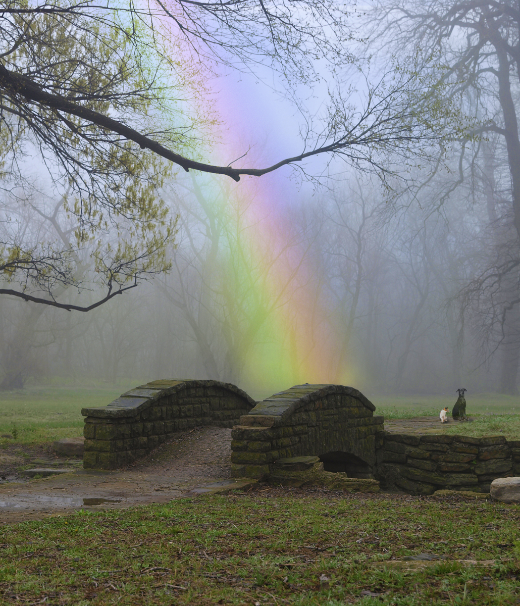 Die Regenbogenbrücke